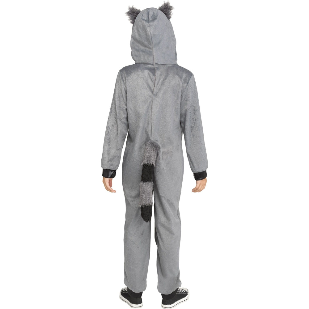 Fun World Cute Raccoon Child Costume, 12-14