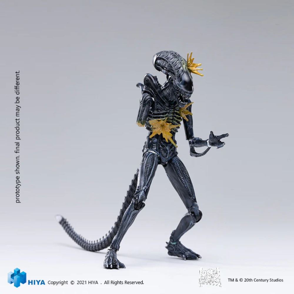 Hiya Toys Aliens: Battle Damaged Alien Warrior 1:18 Scale Action Figure