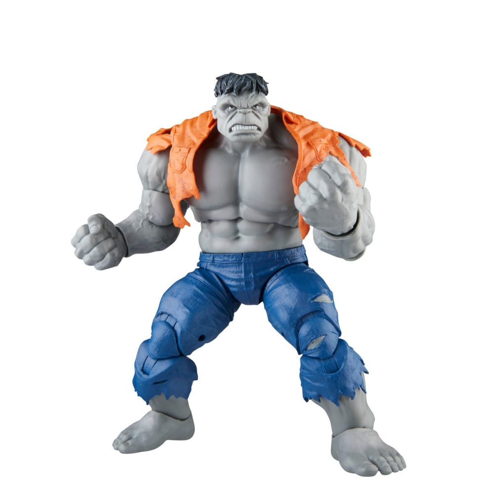 Avengers 60th Anniversary Marvel Legends Gray Hulk and Dr. Bruce Banner Action Figures