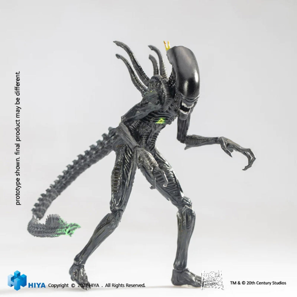 Hiya Toys Aliens: Headshot Alien Warrior 1:18 Scale Action Figure