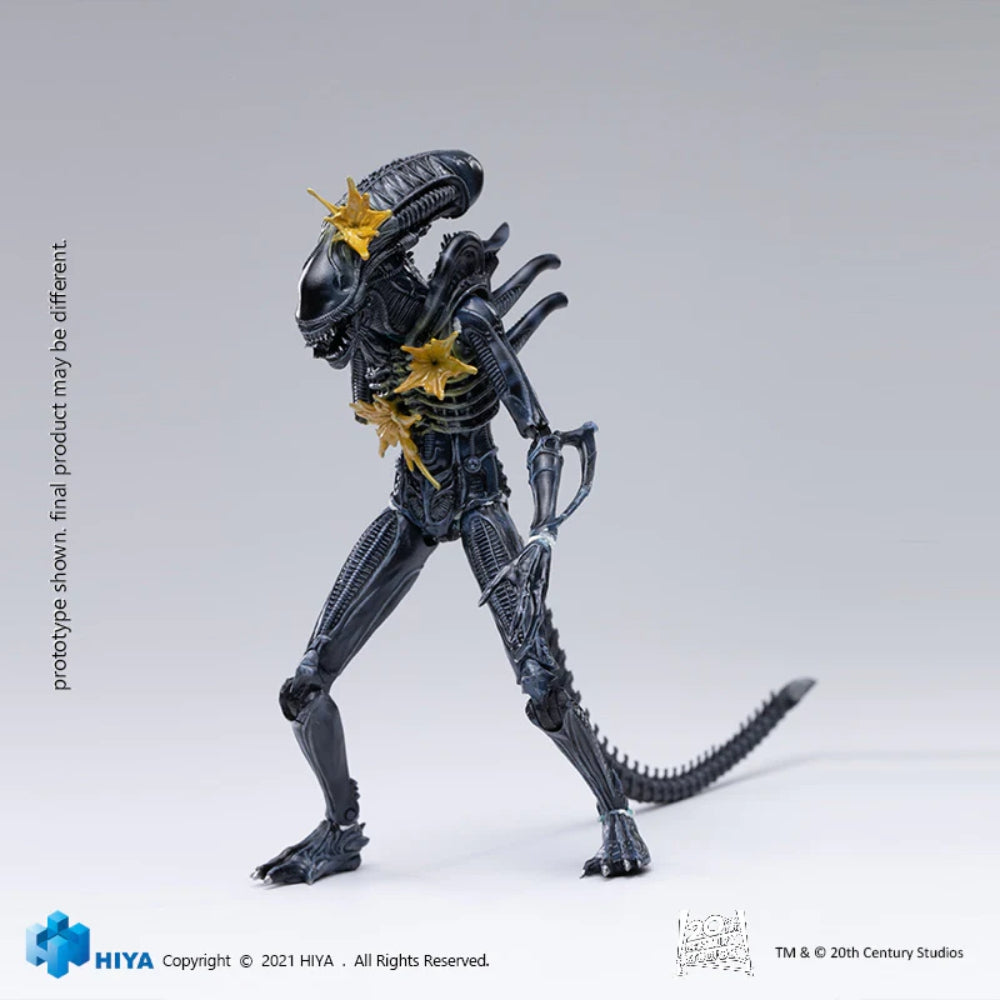 Hiya Toys Aliens: Battle Damaged Alien Warrior 1:18 Scale Action Figure