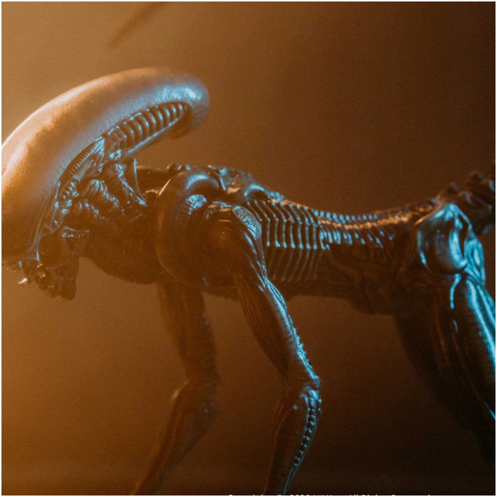 Hiya Toys Alien 3: Look Up Dog Alien 1:18 Scale Action Figure