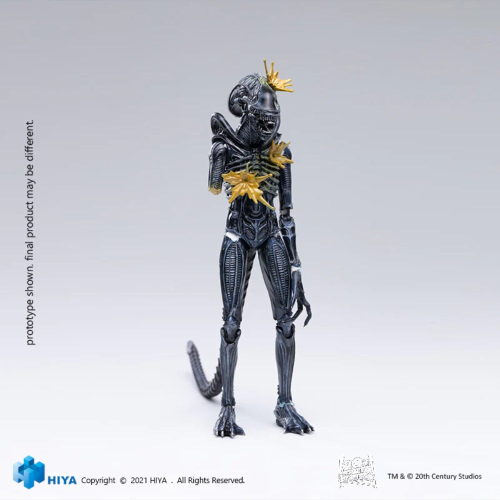 Hiya Toys Aliens: Battle Damaged Alien Warrior 1:18 Scale Action Figure