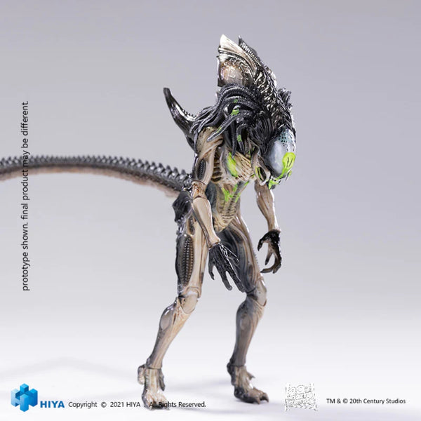 Hiya Toys Aliens vs. Predator: Battle Damaged Predalien 1:18 Scale Act ...